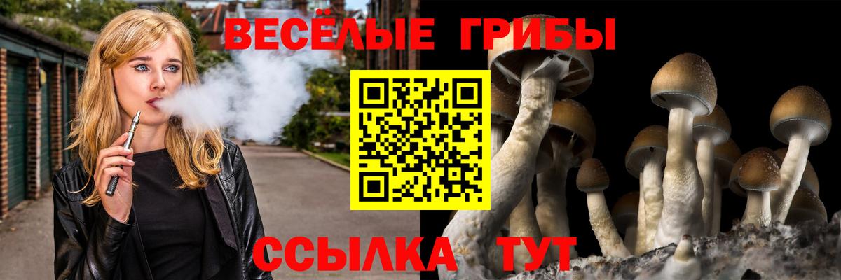 Усть-Джегута  Псилоцибиновые грибы Magic Shrooms  Вход с VPN 