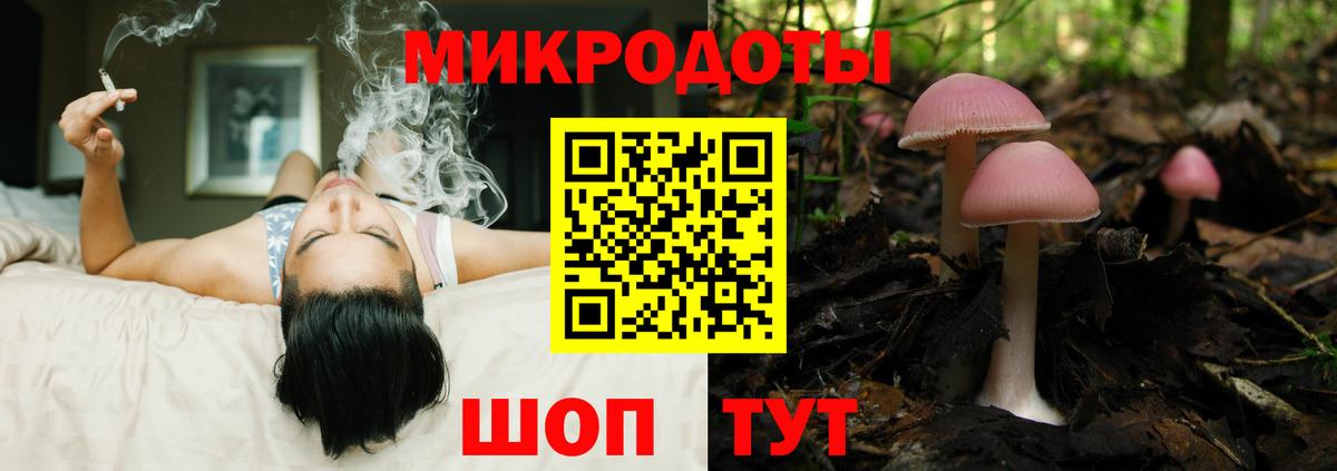 Псилоцибиновые грибы мицелий Усть-Джегута
